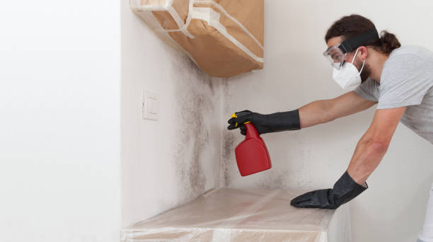 Professional Attic Mold Remediation technician working in North Miami Beach, FL